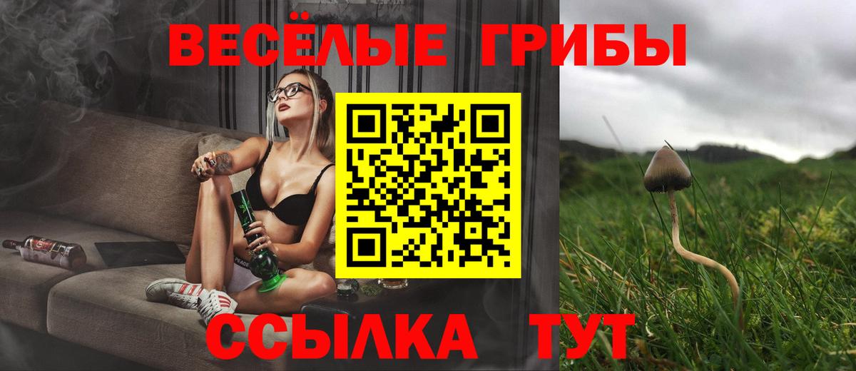 Семилуки  Псилоцибиновые грибы GOLDEN TEACHER  Вход с VPN 
