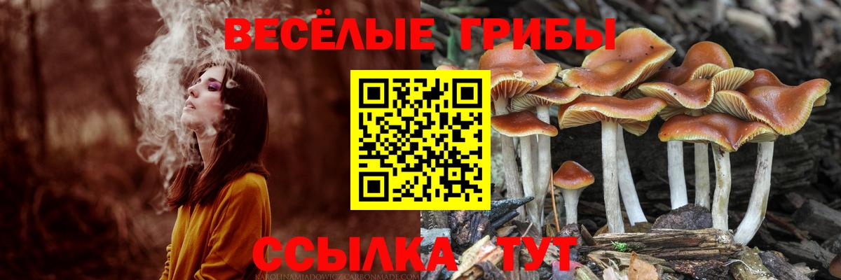 Меф кристаллы  Семилуки  MDMA  ГАШ  Экстази  Вход с VPN  КОКАИН 